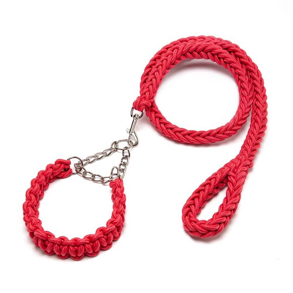 Explosion-Proof Nylon Braided Dog Leash and Collar