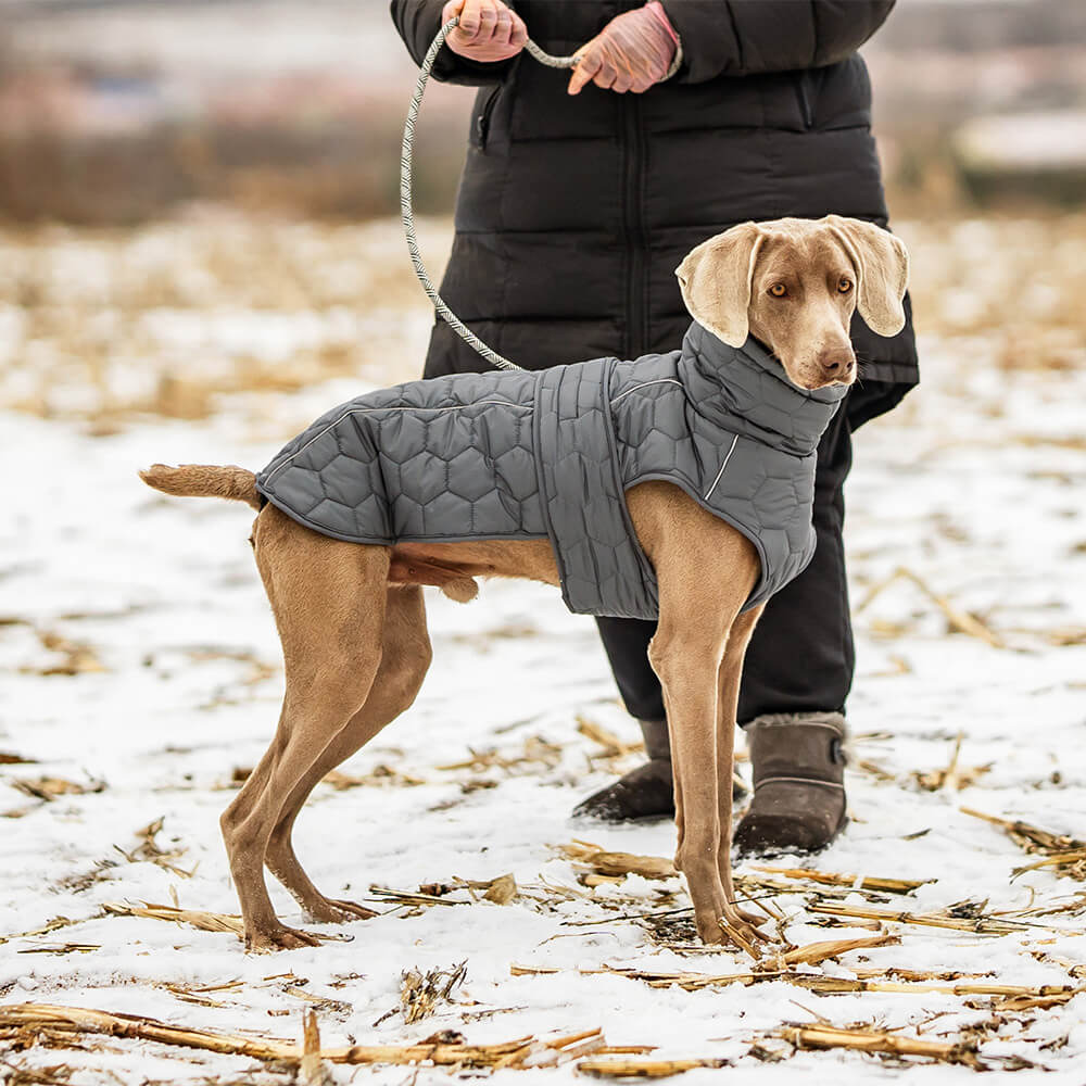 Quilted Outdoor Dog Vest - Warm and Durable for Hiking and Adventures