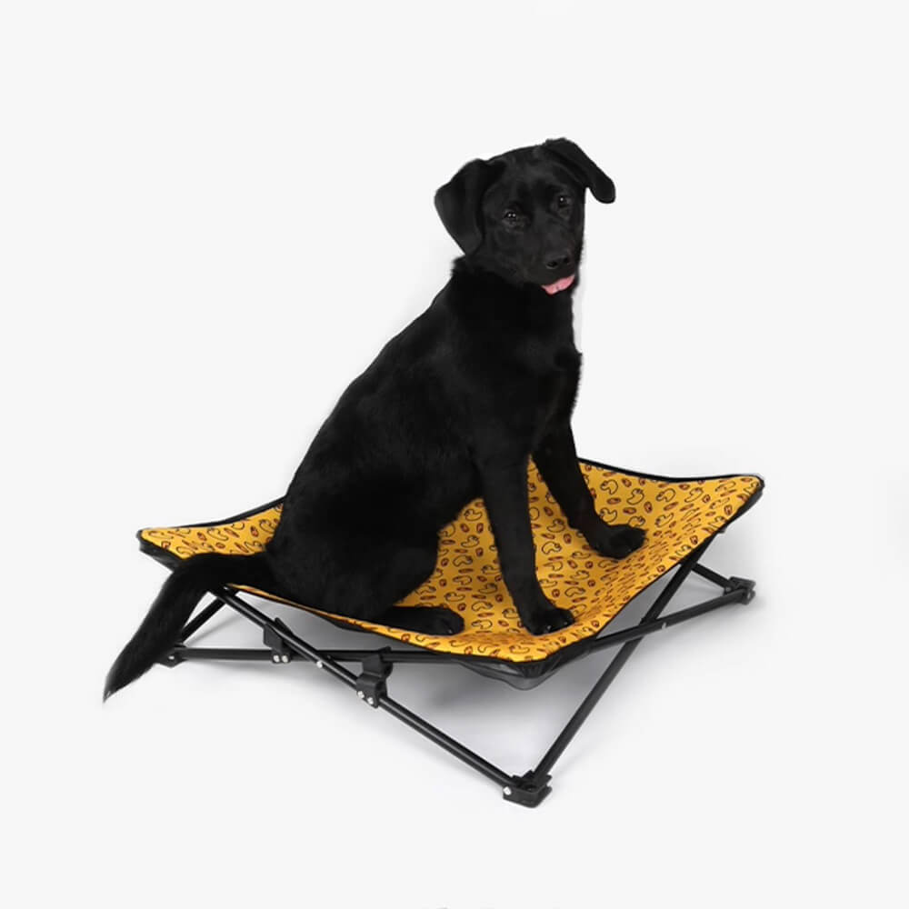 Colorful Pattern Elevated Dog Bed - Multiple Fun Designs