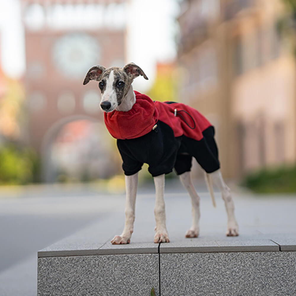 Full Coverage Polar Fleece Dog Onesie with Removable Collar