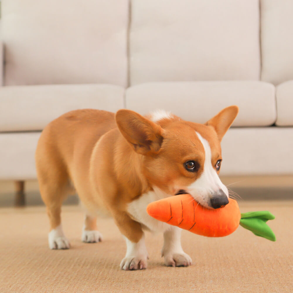 Carrot Squeaky Plush Toy Dog Interactive Toy