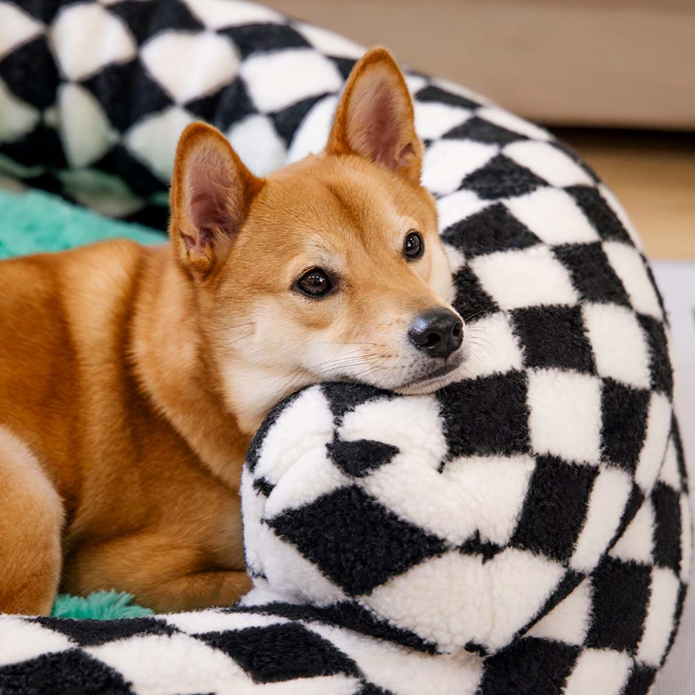 Classic Argyle Washable Bolster Donut Dog Bed - Cozy Haven