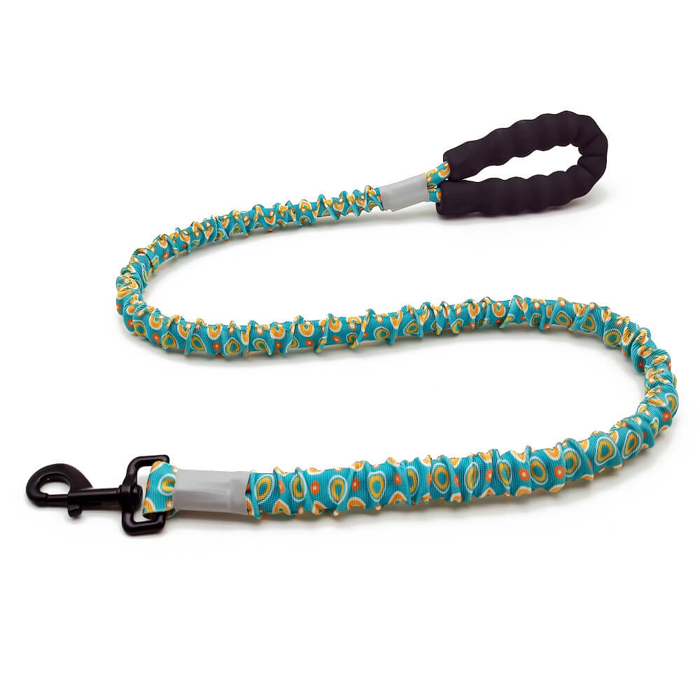 Colorful High Elasticity Traction Rope Large Dog Leash And Collar