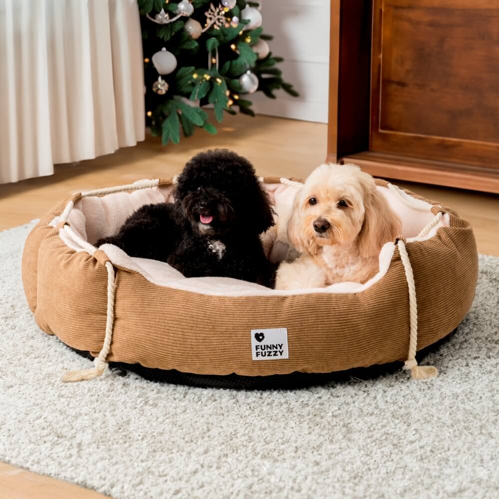 Playful Pull Rope Pet Bed Adjustable Chew-Resistant Dog & Cat Bed