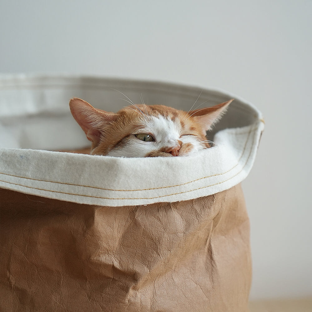 Minimalist Foldable Washable Kraft Paper Cat Bed