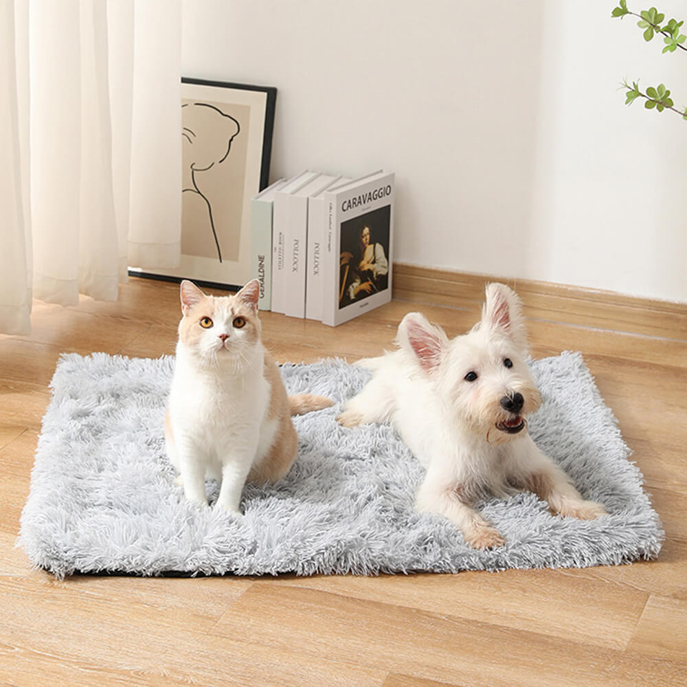 Soft Plush Anti-Slip Fluffy Dog & Cat Rug Mat