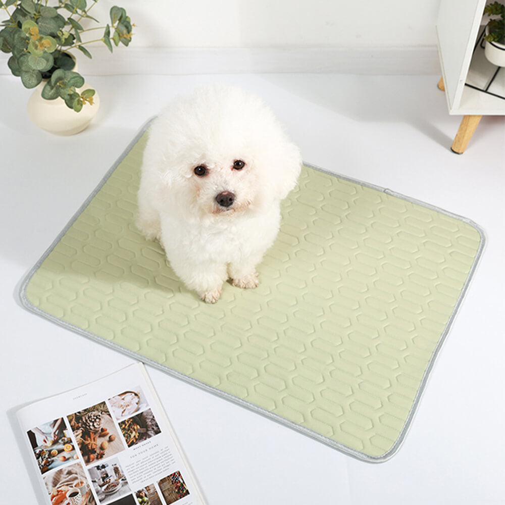 Cooling Washable Non-Slip Breathable Ice Silk Dog & Cat Mat