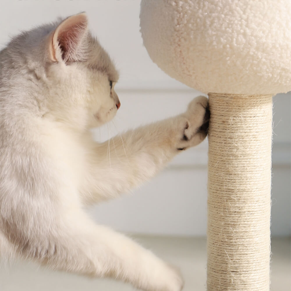 Red Mushroom Cat Climbing Frame with Sisal Scratching Post