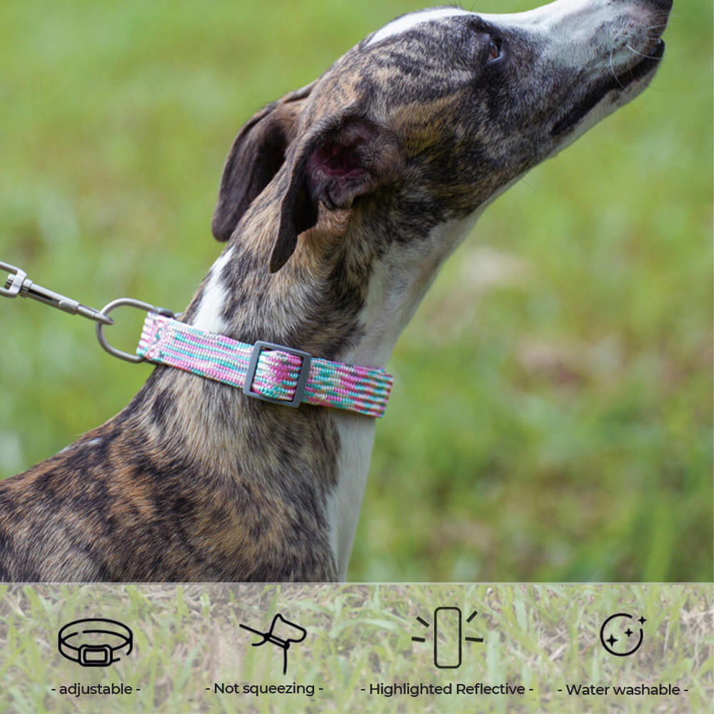 Reflective Weave Adjustable Anti Pull Dog Collar and Leash