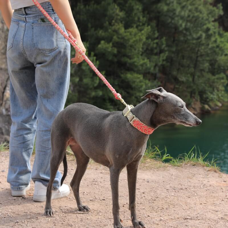 Hand-Woven Leather Multifunctional Anti-Pull Dog Collar and Leash Set