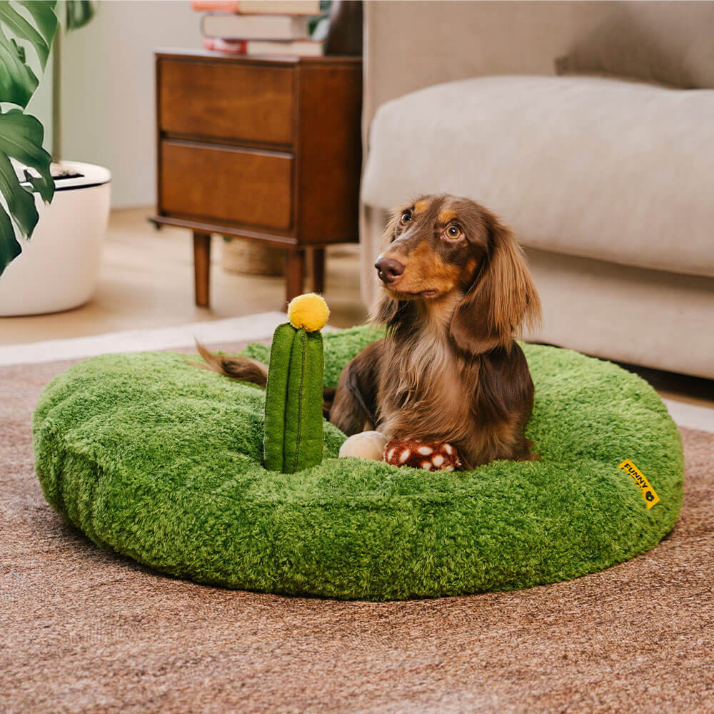 Jungle Explorer 2 in 1 Funny Plush Pet Bed - Nature Park