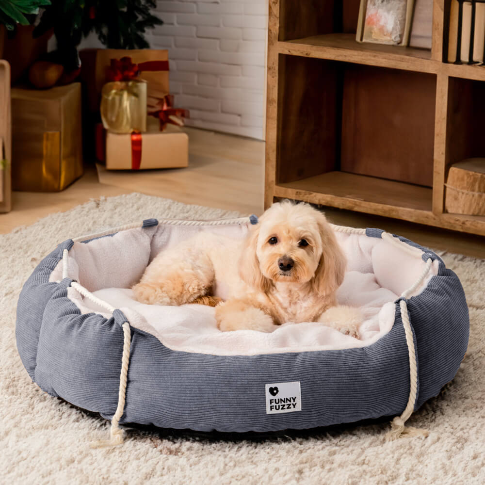 Playful Pull Rope Pet Bed Adjustable Chew-Resistant Dog & Cat Bed