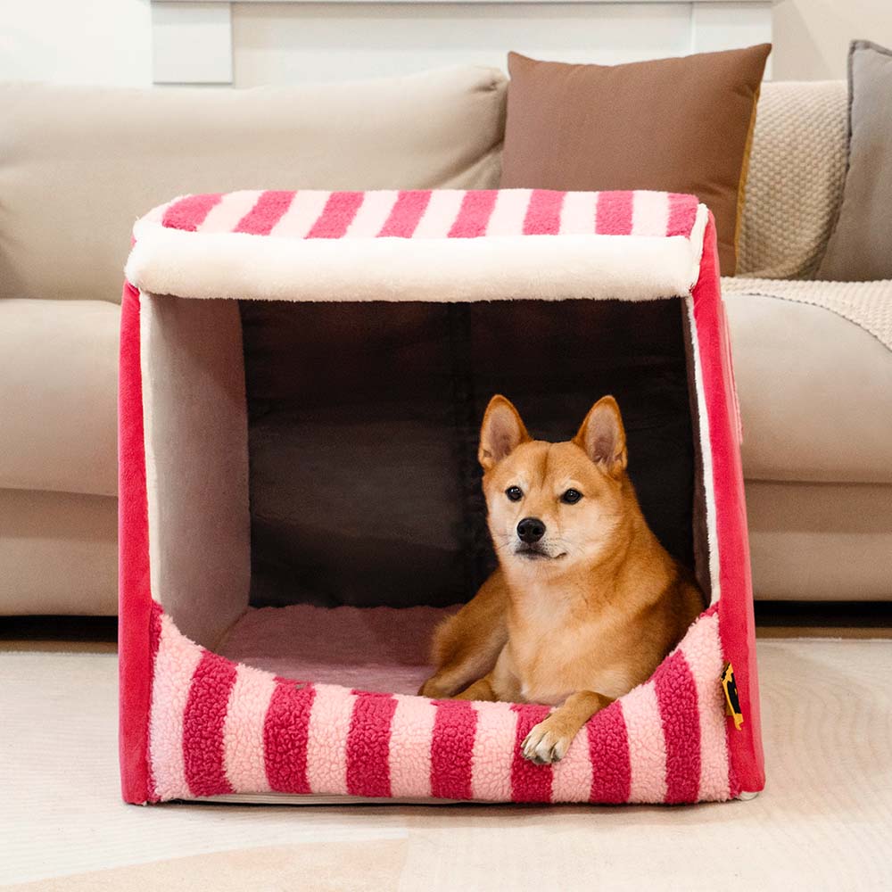 Trendy Striped House Orthopedic Dog Bed - Cozy Hideaway