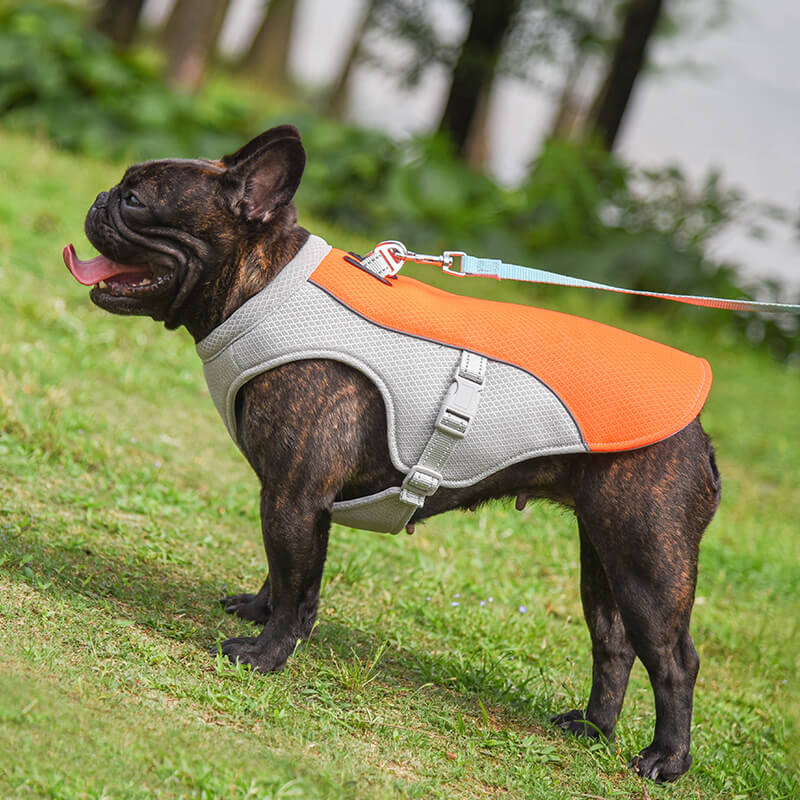 Breathable Vest For Sunstroke Prevention Water-soakable Dog Cooling Vest