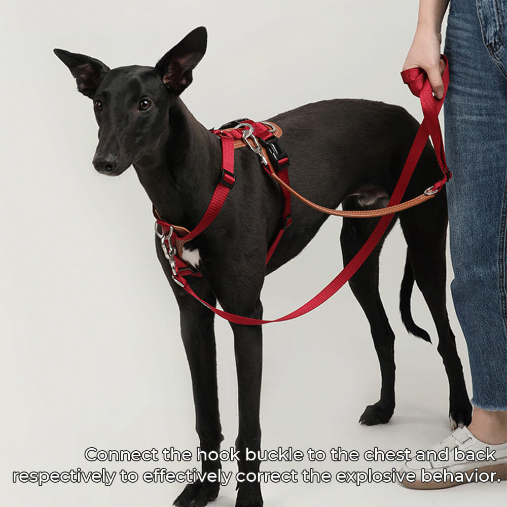 Multifunctional Hands-Free Anti-Pull Dog Walking Harness