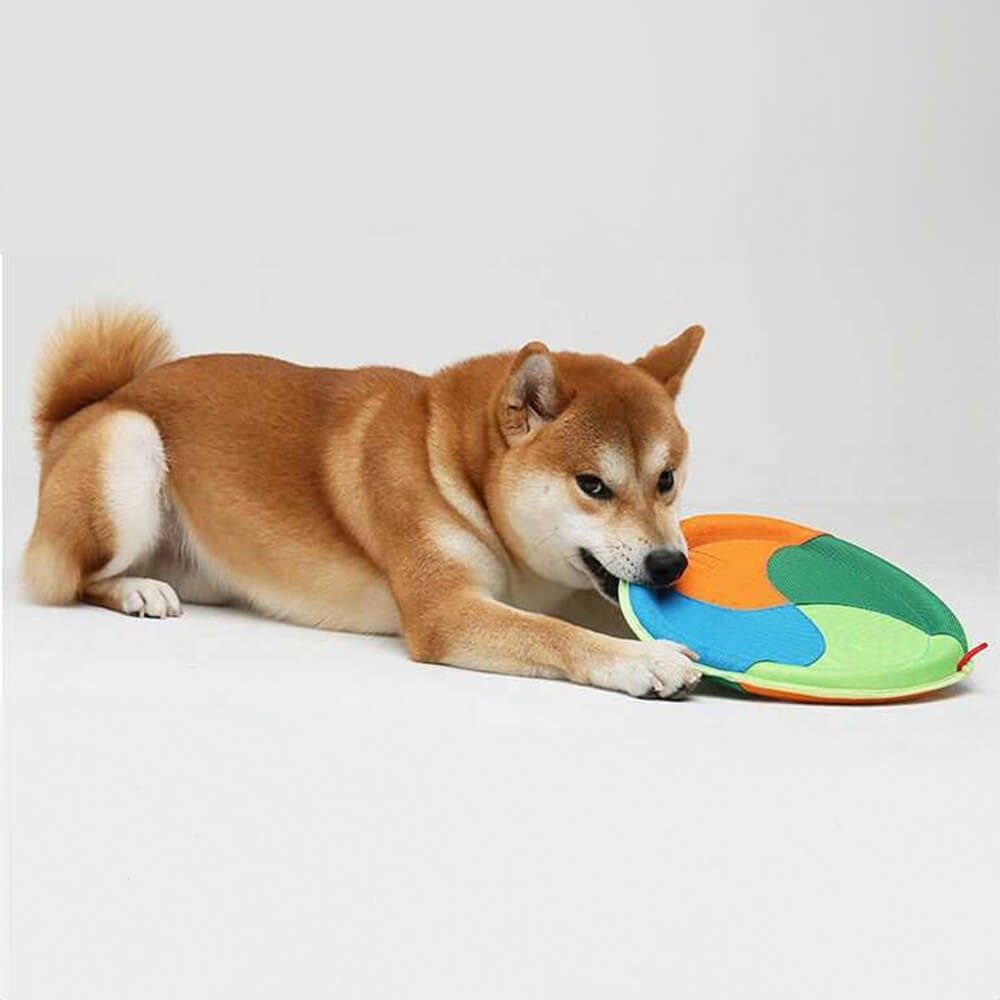 Outdoor Interactive Dog Toy Durable Oxford Cloth Dog Frisbee