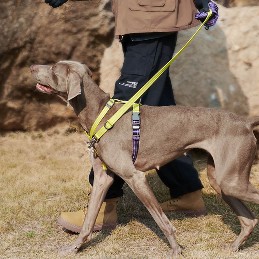 Reflective Buckle-Neck Balance Harness No-Pull Dog Harness