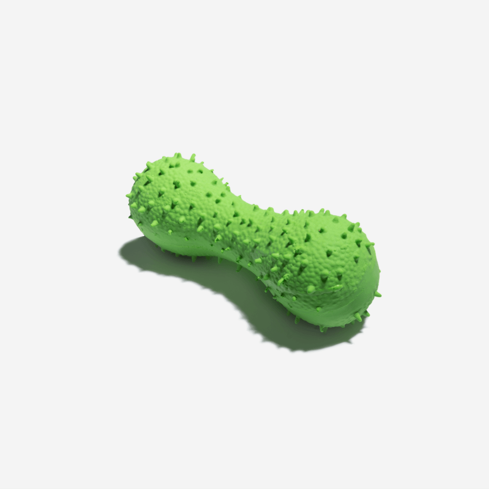 Cactus Shaped Squeaky Dog Toy