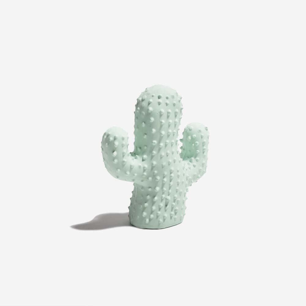 Cactus Shaped Squeaky Dog Toy