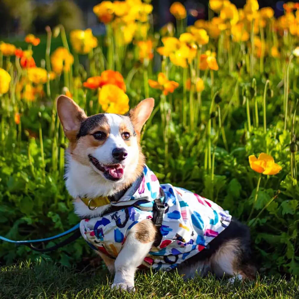 Manteau de pluie imperméable réversible pour chien - Graffiti et irisé