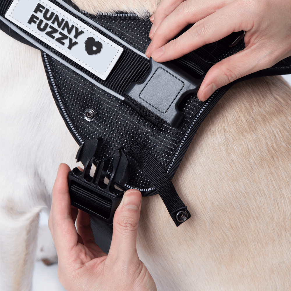 Easy-to-wear Dog Harness丨Anti Pull Large Dog Harness For Trunk with Handle